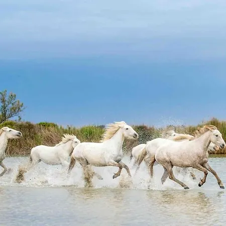8 Personnes Bord De Climatisee Saintes-Maries-de-la-Mer